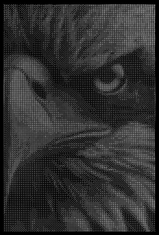 Eagle 8- Completed Dice Art- Using 10,068, 16mm Dice