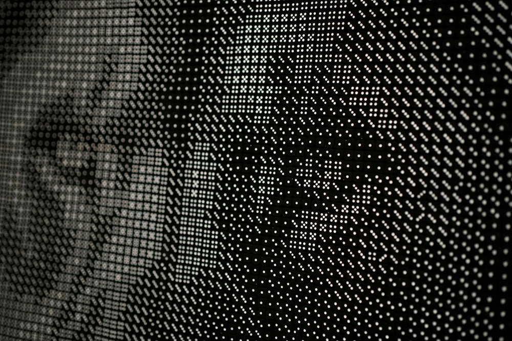 Lion 4-Completed Dice Art- Using 10,068, 10mm Dice