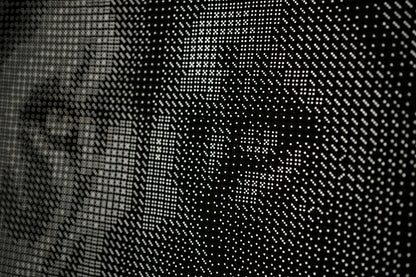 Lion 4-Completed Dice Art- Using 10,068, 10mm Dice