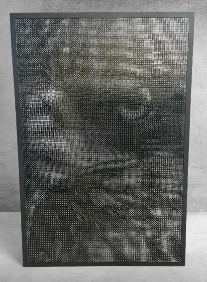 Eagle 8- Completed Dice Art- Using 10,068, 16mm Dice