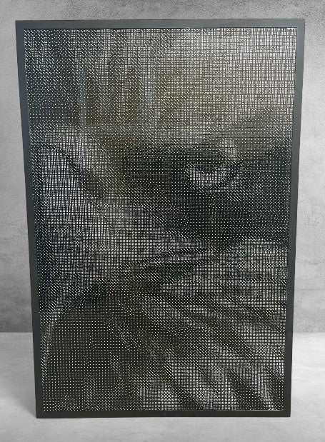 Eagle 8- Completed Dice Art- Using 10,068, 16mm Dice