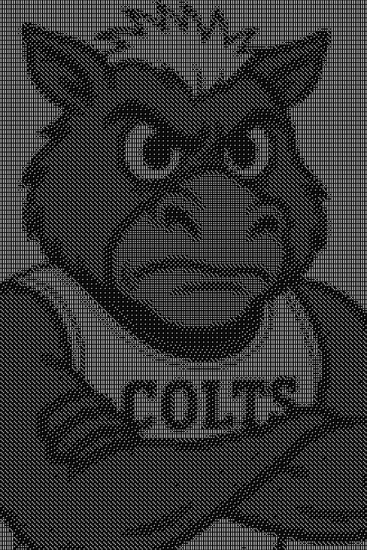 Indianapollis Colts NFL Dice Art- Handcrafted Dice Mosaic using 10,000+ Dice, Two Size Options