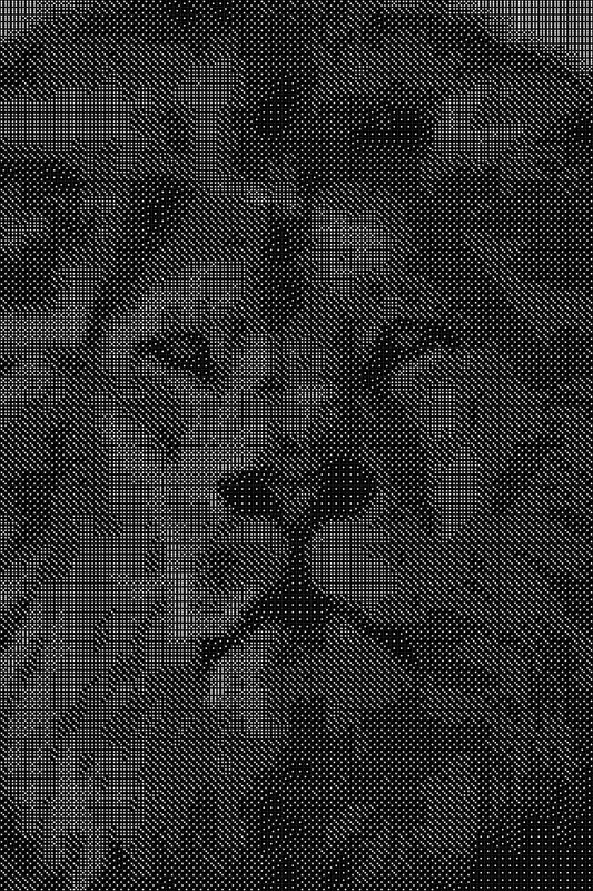 Lion 2 Dice Art- Handcrafted Dice Mosaic using 10,000+ Dice, Two Size Options